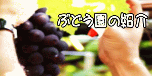 �Î����̏Љ�