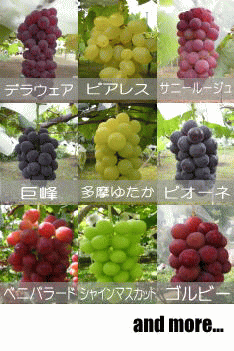 �X���C���[�W