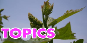 TOPICS